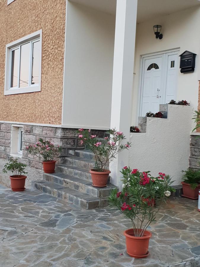 Pretty Garden Orsova Exterior photo