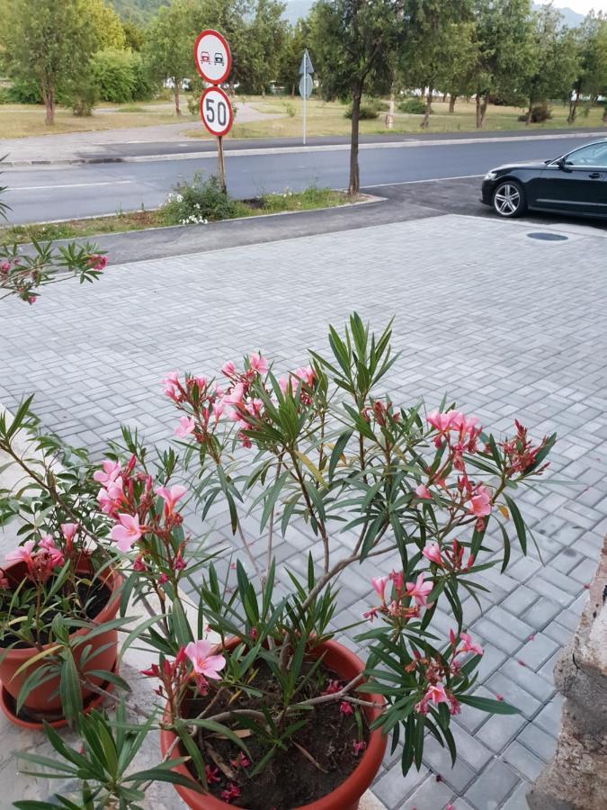 Pretty Garden Orsova Exterior photo
